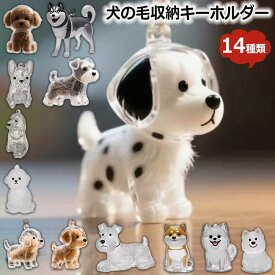 ＼1個580円★2個購入クーポンで／ ペット 遺毛 ケース 犬の毛収納ボトル ペット 透明 犬の毛 キーホルダー 遺毛入れ ペット 毛 犬のキーホルダー 抜け毛収納 毛を保管するボトル かわいい 携帯 犬の毛収納ボトル 持ち歩き 携帯便利 犬 お守り メモリアルグッズ