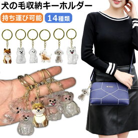 ＼ 1個あたり640円・2個購入で／ 犬の毛収納キーホルダー ペット 遺毛 ケース 犬の毛収納ボトル ペット 透明 犬の毛 キーホルダー 遺毛入れ ペット 毛 犬のキーホルダー 抜け毛収納 毛を保管するボトル かわいい 携帯便利 犬 お守り 携帯 持ち歩き メモリアルグッズ
