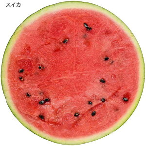   xr[  xr[uPbg H~ _炩 킢 ^IPbg Ԃ V oYj xr[Q ̎q j̎q P[v  Q  