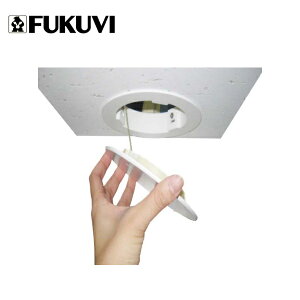 tNr FSV_ fMdl zCg 3Zbg FSTDBW