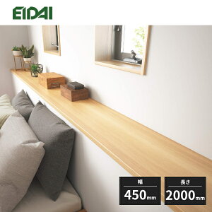 【法人様限定】永大産業 ポストフォームカウンター スタンダードタイプ 厚み26mm 幅450mm 長さ2000mm ECC-L4520 受注生産品