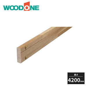 yߋEn̂ݔzBzEbh tH[p肷 tpx[X 4200mm KU3141-7 WOODONE