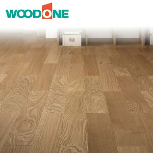 Ebh Չt[O Oht[O L-45 TN(JomL) FJ3603