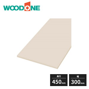 Ebh n̒I 20mm s450mm 300mm  4ʃGbWe[vdグ 1 STT0300N-D1I WOODONE 󒍐Yi