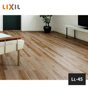 LIXIL ���V�b�T D�t���A���\��h���� �Չ����� LL-45 DB4501-MAFF