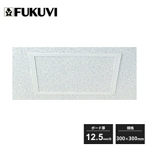 �t�N�r �V��_�����g �{�[�h��12.5mm�p 300×300mm 25�g�� T12N30