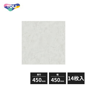  CXg[ wrj^C FT NAIjbNX 450×450mm 14 PST4106