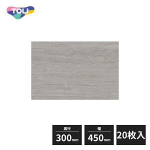  CXg[ wrj^C FT ZxWe 300×450mm 20 PST4114