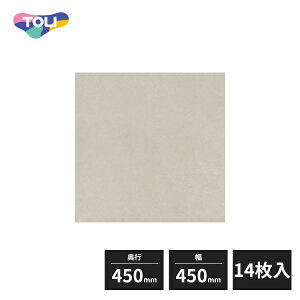 ���� �C�[�N����NW-EX ���w�r�j�����^�C�� FT �N���A���C�� 450×450mm 14���� ECT6022