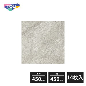 ���� �C�[�N����NW-EX ���w�r�j�����^�C�� FT �t�H�O���C�� 450×450mm 14���� ECT6041