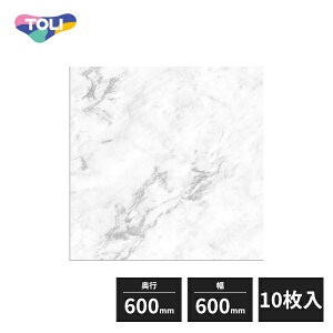 ���� �C�[�N�����E���ANW-EX ���w�r�j�����^�C�� FT �z���C�g�}�[�u�� 600×600mm 10���� ECT6047
