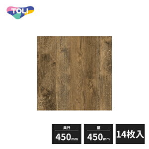 ���� �C�[�N����NW-EX ���w�r�j�����^�C�� FT �E�B�X�L�[�o�����p�[�P�b�g 450×450mm 14���� ECT6141