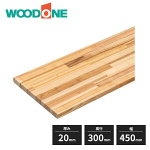 Ebh I   20mm s300mm 450mm MTS0450I-D1I-B WOODONE