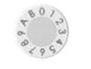 NASTA iX^ eiXi É^_C yMPK-21-T-W ^e^EzCgz󒍐Yî߂Ԃ܂