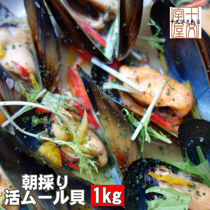 楽天市場 宮城県三陸リアスの誉れ 朝採り活ムール貝 どどんと１ｋｇ食べ放題 産地直送 送料無料 Season 十文字屋商店 楽天市場店