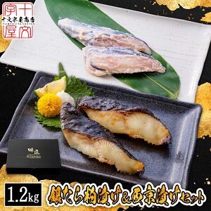 ₾ Ђ Ђ 60g× e5Zbg 20 20lO  atjs L M_ _ lߍ킹 ₽ M^ ^ y Ђ  {錧WEBYW