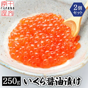 ݖЂ kC H 500g 250g×2Zbg  CN  }X ܂ q }XR ݖЂ ݖ 傤Ђ CN Ⓚ 񂹃O 蕨 O 󂠂 