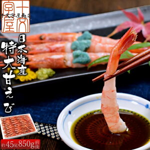 {CYhgp Â 850gO 45 ÃGr Ɩp 󂠂 ܃Gr ÊCV ÃGr ܂ A}Gr  hsk sss