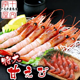 日本海産お刺身用 超特大 子持ち 甘えび 800g前後 約30尾入 甘エビ 業務用 訳あり あまエビ 甘海老 あまえび アマエビ