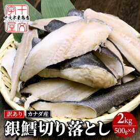 銀たら 切り落とし 500g×4 無塩・西京漬けから味が選べる 銀だら 銀鱈 銀タラ 西京漬け 切落とし 訳あり 焼き魚 食卓 夕食 冷凍 魚 自宅 家庭用 西京焼き