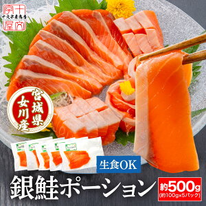 {錧Y₴ hg T[ȂȂ Hא؂TCỸ|[VJbg 100g×5  Y Ⴏ MUP  TP  hsk {錧WEBYW