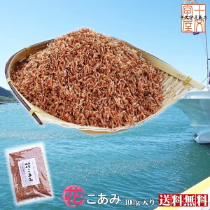 Gr Ԃ100g ݂ OY Y Ɩp CV A~Gr  ILA~ ALA~ AX^LT`   CT_ [֑  JVE