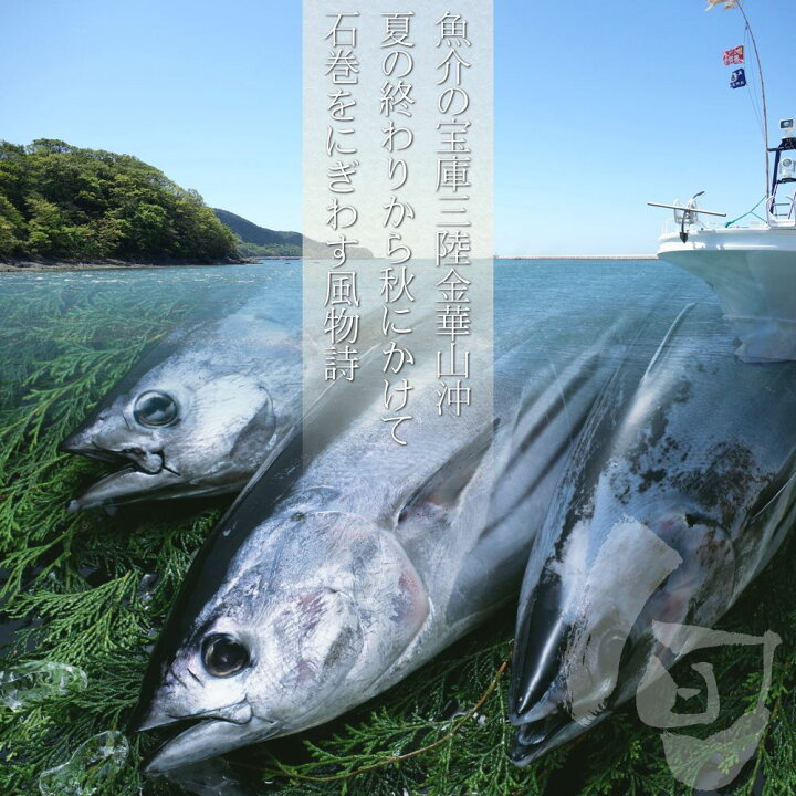 楽天市場 三陸石巻のブランド鰹 金華かつお たたき 一本 背節または腹節 鰹のタタキ かつおのたたき カツオ お刺身 ギフト お中元 お歳暮 敬老の日 十文字屋商店 楽天市場店