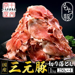 O  ؂藎Ƃ Y 󂠂 250g×4 ؓ u^ Ԃ Ԑ؂ א؂ A Ȃ Ⓚ uh ֗ H pbN 