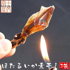 【メール便送料無料】日本海産ほたるいか素干し 25g入り×3袋 魚系 おつまみ お試し いか イカ ホタルイカ素干し DM便発送 コロナ 応援 食品 訳あり お取り寄せグルメ 食品ロス 在庫処分 hsk