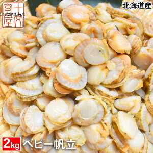 yzxr[ق 1kg×2  kCY ΘpŊlꋉi {Cz^e xr[z^e z^e xr[ hsk