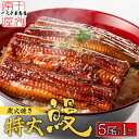 【増量キャンペーン開催中】うなぎ 蒲焼き 特大 五尾セット 今なら一尾約280gに増量中 国産ではございませんがふっくら柔らか 肉厚 250g前後×5 1kg以上 ウナギ 鰻 たれと山椒付き 土用 長焼き 訳あり 訳アリ わけあり 送料無料