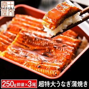 うなぎ 蒲焼き 国産ではございませんがふっくら柔らか 肉厚 超特大 三尾セット 250g前後×3 6〜9人前 ウナギ 鰻 たれと山椒付き 土用 丑の日 長焼き 訳あり