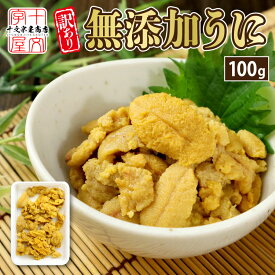 生うに 無添加 ミョウバン不使用 100g 冷凍 ブランチ製法 バラ盛り チリ産 生ウニ うに ウニ お試し 訳あり お刺身 丼 手巻き寿司 寿司ネタ 海鮮丼 業務用 アウトレット