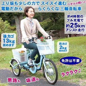 電動アシスト三輪自転車【送料無料】(代引き不可)-熟年時代ペガサスショップ