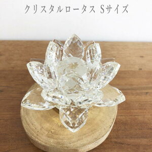 NX^KX[^X NX^KX @̉ [^X   u TLb`[ N@{w~AAWAG r[`X^C BOHO AWACeA AWAƋ K