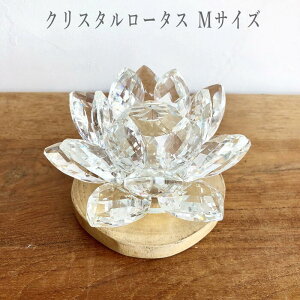 NX^KX[^X NX^KX @̉ [^X   u TLb`[ N@{w~AAWAG r[`X^C BOHO AWACeA AWAƋ K