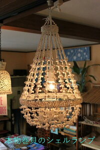 y悠zLED  ߓd ΍y_gCg v Ɩ C CeA VF VfA VFv  AWAv LEDdt CeA V[OCg ԐڏƖ A