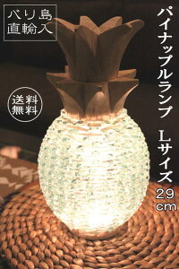 yKX̋Pze[uv pCibv v AWAv v ԐڏƖ CeA tAv X^hCg ][g AWAG oG o r[`X^