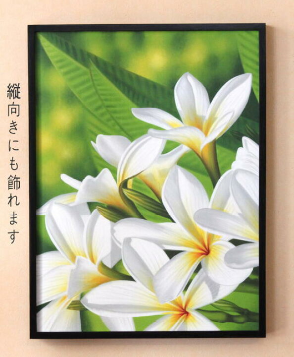全品送料0円 送料無料 バリ 絵画 バリ絵画 バリアートバリ雑貨 インテリア アジアン家具 アジアンレリーフ おしゃれ プルメリア アート ハワイアン サーファーズハウス リゾート プルメリアアート３枚１セット ホワイト 横 154cm X 縦 50cm 厚み4cm Fucoa Cl