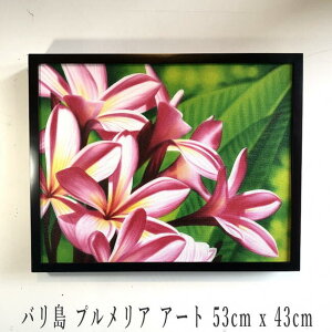 o G oG oA[g oG CeA AWAƋ AWA[t Ǌ| vA A[gؐt[ nCA T[t@[YnEX ][g vAA[g s