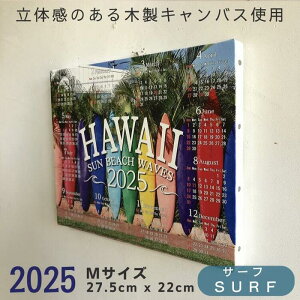 wؐt[ōx 2025 J_[ N 1  ꖇ Ǌ| T[t{[h T[tB nCAJ_[  nCA SURF C CeA 썑 T[tA[g T[t@