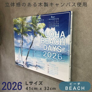 wؐt[ōx 2026 J_[ Ǌ| nC An C T[tB T[t{[h CLL  nCA T[t@[YnEX Mtg A[g LoXA[g N