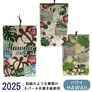 2026 J_[wAnX^CŃnCx nCAJ_[ Ǌ| C g T[tB zk Xe t An  Mtg v[g r[`X^C nCA