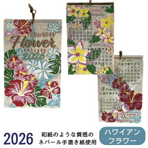 wƂẴnC̉Ԃ𑡂܂xJ_[ 2026 nC nCAJ_[ Hawaii Ǌ| C g vA nCrXJX eBA An  Mtg v[g r[`X^C