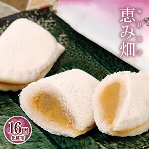 yaَqMtg  XC[c 䋟 j Cxg  zӂƂnł܈Q bݔi16Eϔjm܂/Tc}C/F/܈][j/j