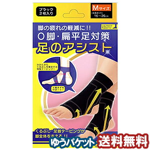 r̃AVXg ubN 2 MTCYi܂16`26cmj[֑