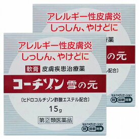 【第（2）類医薬品】 コーチゾン雪の元 15g×2個セット メール便送料無料 ※セルフメディケーション税制対象商品