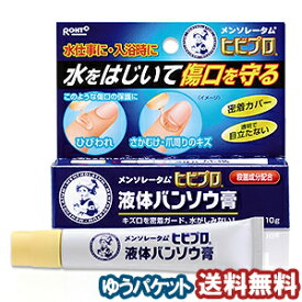 メンソレータム ヒビプロ液体バンソウ膏 10g【医薬部外品】 メール便送料無料