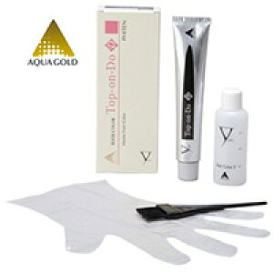 t@Ce Top-on-Do D i߁j N4F_[NuE