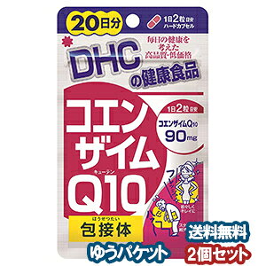 DHC 20 RGUCQ10iL[ejڑ 40×2Zbg [֑